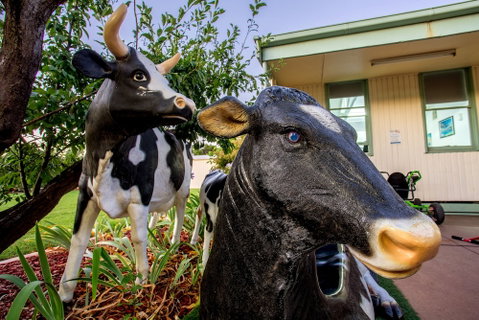 Big4 Shepparton Park Lane - Accommodation Main Beach 0