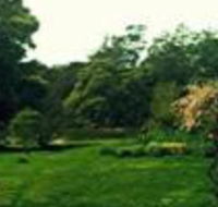 Birdwing Bed  Breakfast Weegena - Accommodation Main Beach