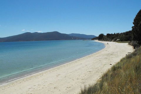 Discover Bruny Island Holiday Accommodation - Accommodation Main Beach 2