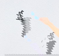 The Sails Motel Brunswick Heads - Accommodation Main Beach