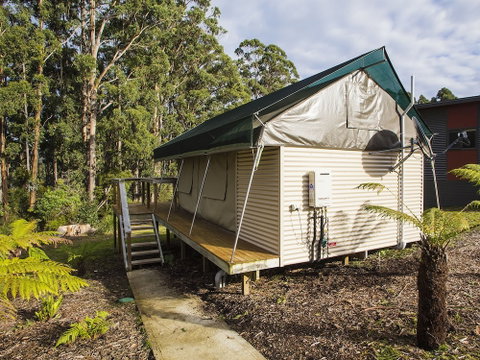 NRMA Port Arthur Holiday Park - Accommodation Main Beach 4