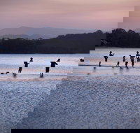 Tallebudgera Creek Tourist Park - Accommodation Main Beach