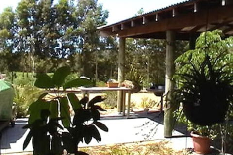 Ocean Vines Retreat - Accommodation Main Beach 5