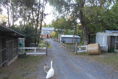 A Twist Of Willow - Accommodation Main Beach 1