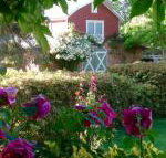 A Country Barn Retreat - Accommodation Main Beach