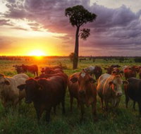 Myella Farm Stay - Accommodation Main Beach