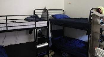 Zing Backpackers - Accommodation Main Beach 2