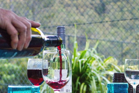 Garasu Lodge - Accommodation Main Beach 7