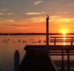 Bayview Boathouse - Accommodation Main Beach