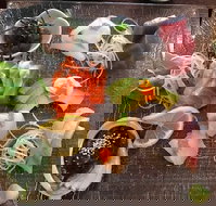 Toshi's Japanese Restaurant - Accommodation Main Beach