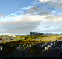 Rare Hare at Willow Creek Vineyard - Accommodation Main Beach