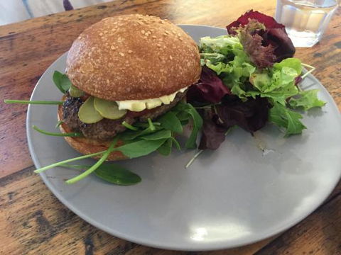 Forage On The Foreshore - Accommodation Main Beach 0