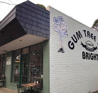 Gum Tree Pies - Accommodation Main Beach
