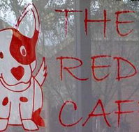 Red Dog Cafe - Accommodation Main Beach
