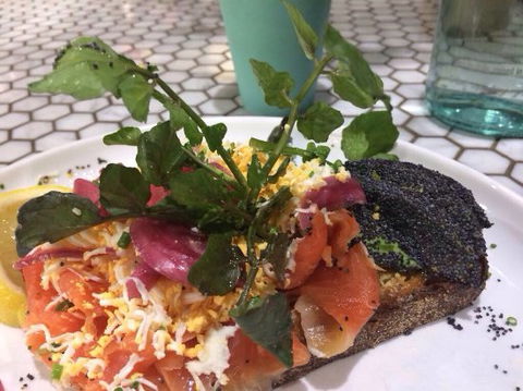 The Rusty Rabbit - Burwood - Accommodation Main Beach 0