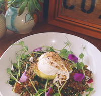 The Shak Organic Cafe  Wine Bar - Accommodation Main Beach