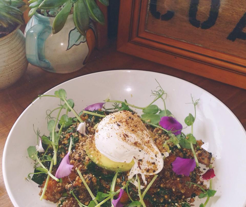 The Shak Organic Cafe & Wine Bar - Accommodation Main Beach 0