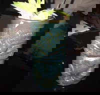 Criniti's Kirrawee - Accommodation Main Beach