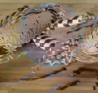 PN's Daily Scoop - Accommodation Main Beach