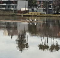 The Melting Room - Accommodation Main Beach