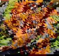 Royal Hotel - Accommodation Main Beach