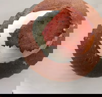 Bounty - Accommodation Main Beach