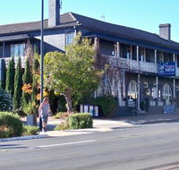 Coachwood  Cedar Motor Hotel Restaurant - Accommodation Main Beach