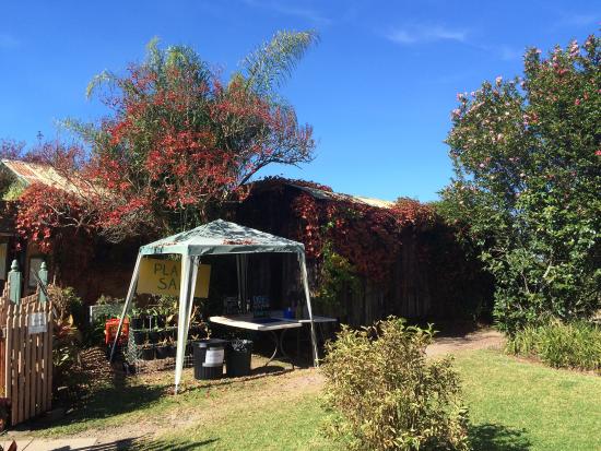 Bilpin NSW Accommodation Main Beach