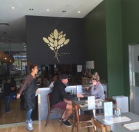 G Tree Cafe - Accommodation Main Beach