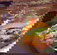 Village Bakehouse Orange - Accommodation Main Beach