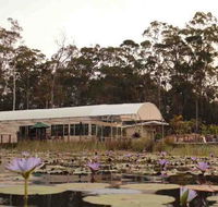 Abundance Cafe and Garden Centre - Accommodation Main Beach