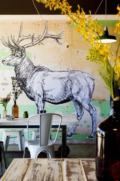 Elk Espresso - Accommodation Main Beach 0