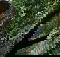 Rowlee Vine To Table Experience - Accommodation Main Beach