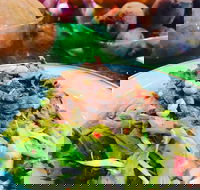 Salad Bar - Surry Hills - Accommodation Main Beach