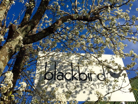 Blackbird Cafe - Accommodation Main Beach 2