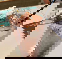 Coffee Mentality - Albion - Accommodation Main Beach