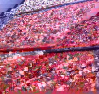 Pizza and Kebab on Bell - Accommodation Main Beach