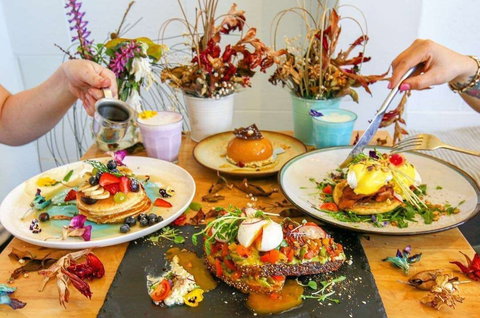 Lazy Panda - Accommodation Main Beach 0