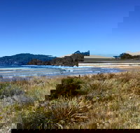 Surf Beach Cafe - Accommodation Main Beach