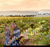 Boston Bay Wines - Accommodation Main Beach