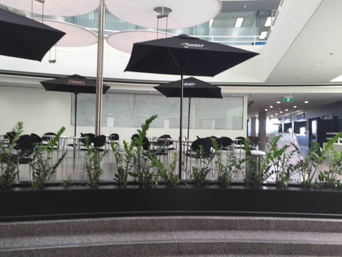 D Cafe - Accommodation Main Beach 0