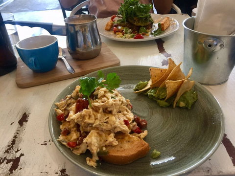 Mr Pilgrim - Accommodation Main Beach 0