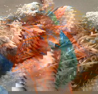 On Shore - Accommodation Main Beach