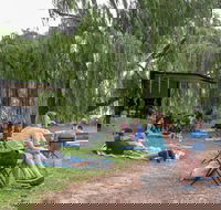 The Pop Inn by Wine Bar Co. - Accommodation Main Beach