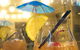 Blue Owl Cafe And Restaurant - thumb 13