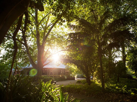 Botanic Gardens Restaurant - Accommodation Main Beach 0
