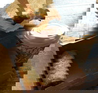 Kunara Organic Cafe - Accommodation Main Beach