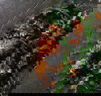 Shukah - Accommodation Main Beach