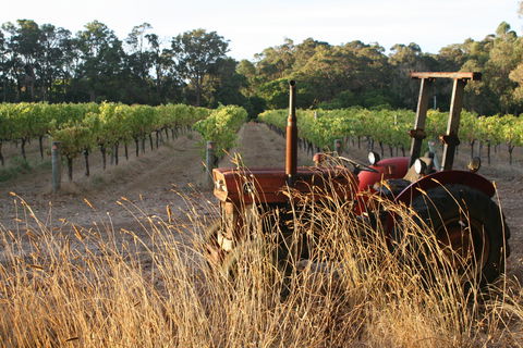 Cape Grace Wines - Accommodation Main Beach 2