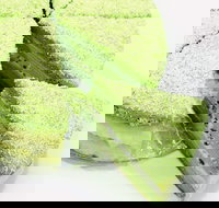 Furuta Dessert House - Glen Waverley - Accommodation Main Beach